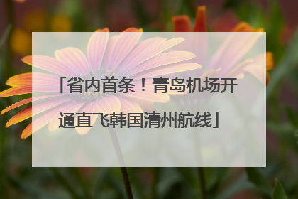 省内首条！青岛机场开通直飞韩国清州航线